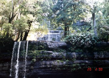 Mt. Fields falls