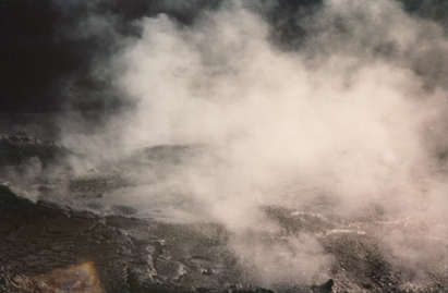 Rotorua geothermal